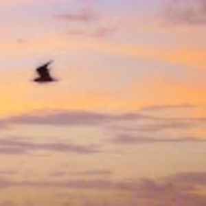 Meet your Posher, Mikyta